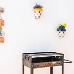 Zajara * Коніль-де-ла-Фронтера