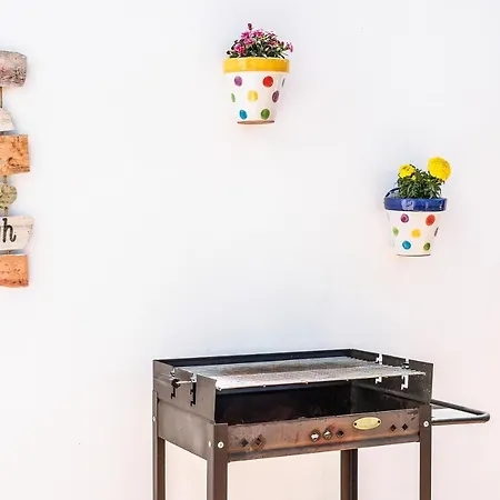 Zajara * Conil De La Frontera